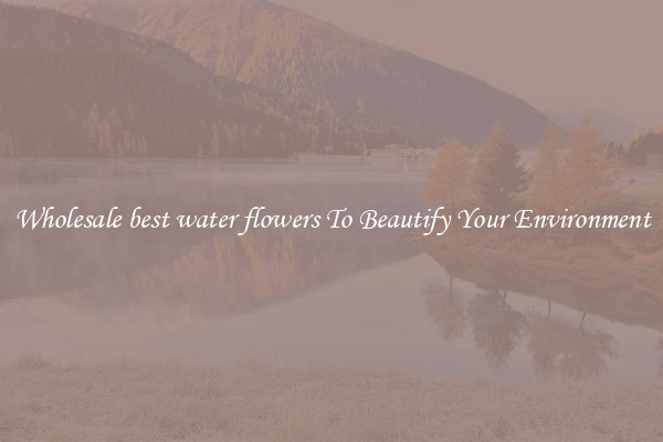 Wholesale best water flowers To Beautify Your Environment