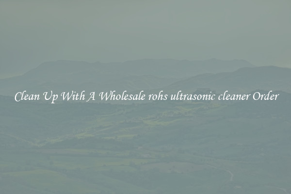 Clean Up With A Wholesale rohs ultrasonic cleaner Order