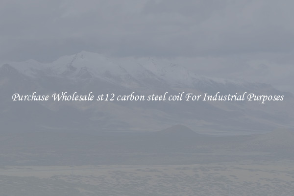 Purchase Wholesale st12 carbon steel coil For Industrial Purposes