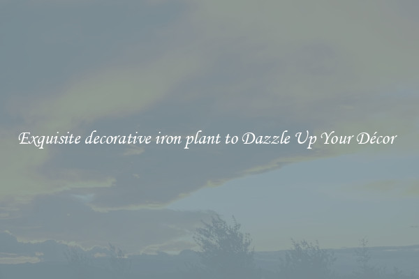 Exquisite decorative iron plant to Dazzle Up Your Décor  