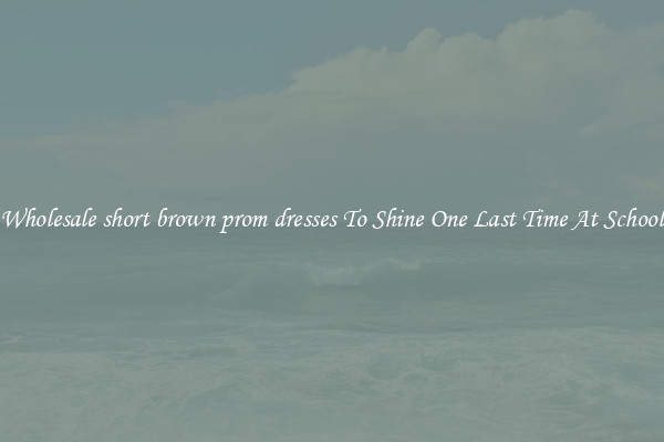Wholesale short brown prom dresses To Shine One Last Time At School