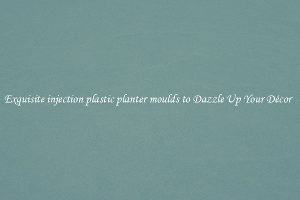 Exquisite injection plastic planter moulds to Dazzle Up Your Décor  