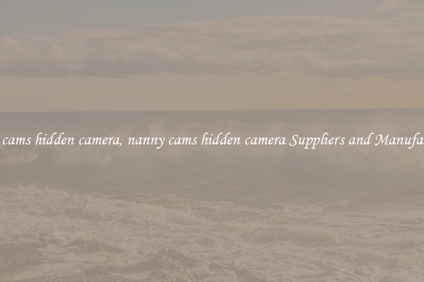 nanny cams hidden camera, nanny cams hidden camera Suppliers and Manufacturers