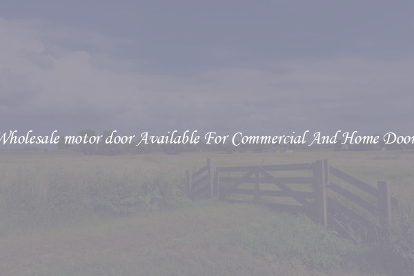 Wholesale motor door Available For Commercial And Home Doors