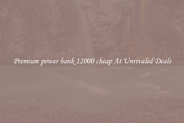 Premium power bank 12000 cheap At Unrivaled Deals