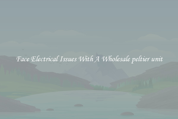 Face Electrical Issues With A Wholesale peltier unit