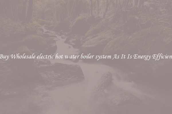 Buy Wholesale electric hot water boiler system As It Is Energy Efficient