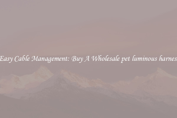 Easy Cable Management: Buy A Wholesale pet luminous harness