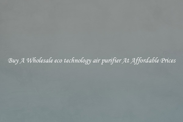 Buy A Wholesale eco technology air purifier At Affordable Prices