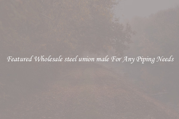 Featured Wholesale steel union male For Any Piping Needs