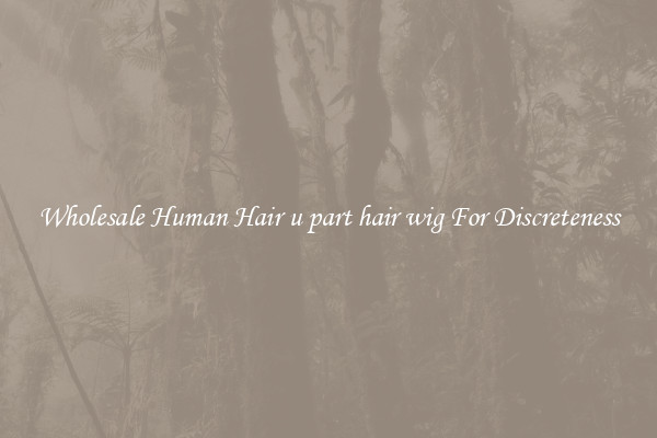Wholesale Human Hair u part hair wig For Discreteness