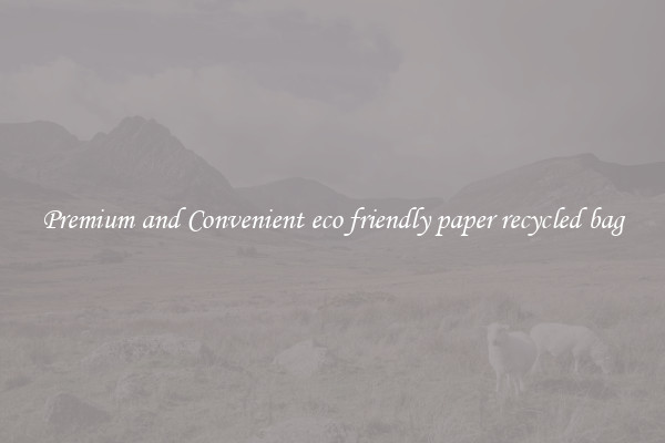 Premium and Convenient eco friendly paper recycled bag