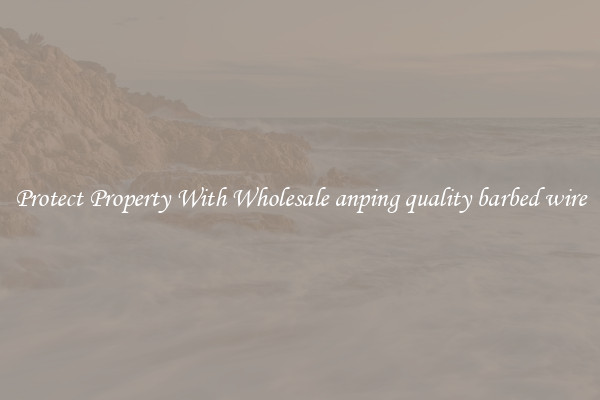 Protect Property With Wholesale anping quality barbed wire