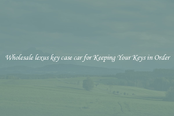 Wholesale lexus key case car for Keeping Your Keys in Order