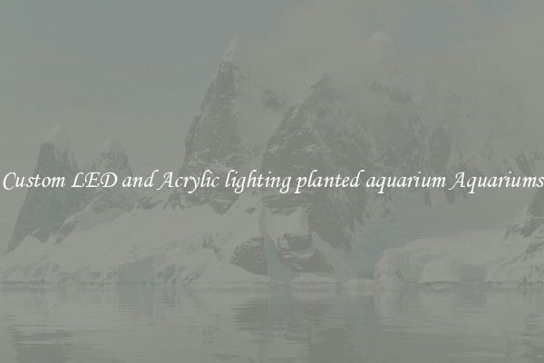 Custom LED and Acrylic lighting planted aquarium Aquariums