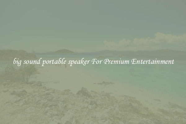big sound portable speaker For Premium Entertainment