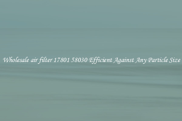 Wholesale air filter 17801 58030 Efficient Against Any Particle Size