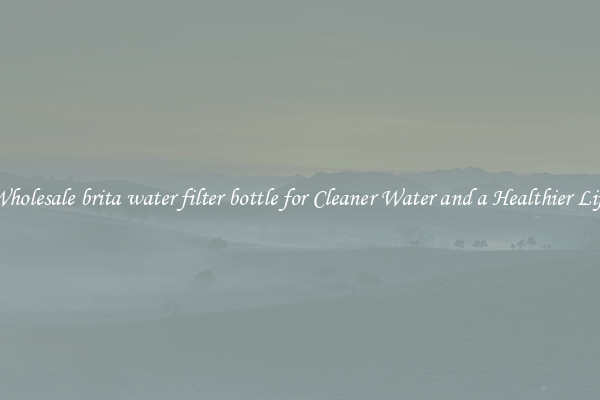 Wholesale brita water filter bottle for Cleaner Water and a Healthier Life