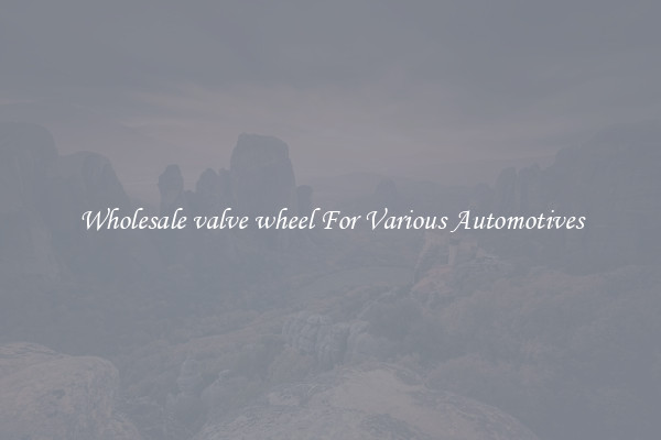 Wholesale valve wheel For Various Automotives