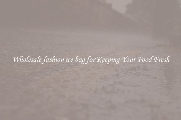 Wholesale fashion ice bag for Keeping Your Food Fresh