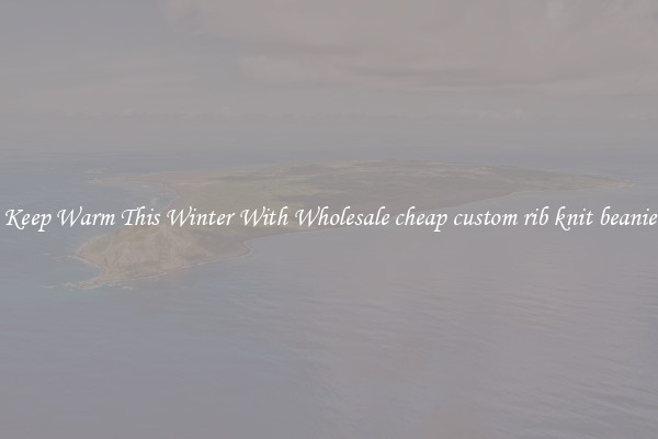 Keep Warm This Winter With Wholesale cheap custom rib knit beanie